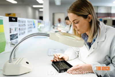 June 2018 / LAB_defect_count_blk_tray_female-male_180601_066