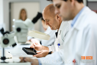 June 2018 / LAB_defect_count_blk_tray_female-male_180601_085