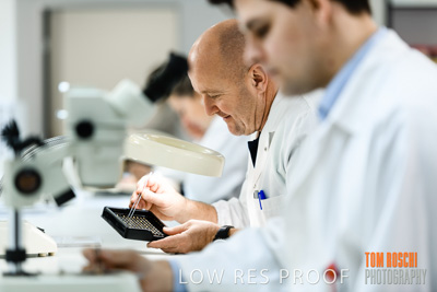 June 2018 / LAB_defect_count_blk_tray_female-male_180601_087