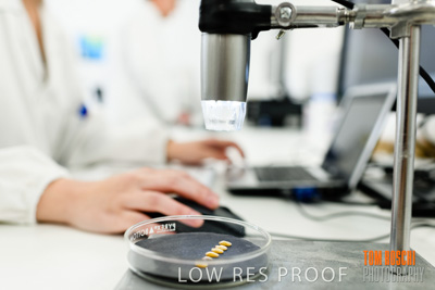 June 2018 / LAB_grain_photography_male-female_180601_001