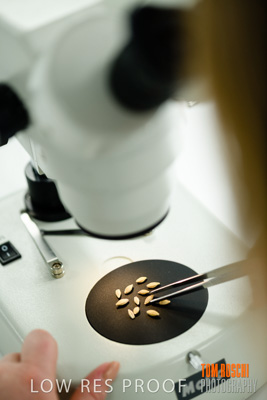 June 2018 / LAB_Microscope_female-male_colaborating_180601_076