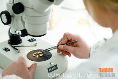 June 2018 / LAB_Microscope_female-male_colaborating_180601_078