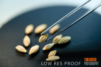 June 2018 / LAB_Microscope_female-male_colaborating_180601_088