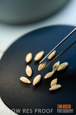 June 2018 / LAB_Microscope_female-male_colaborating_180601_090