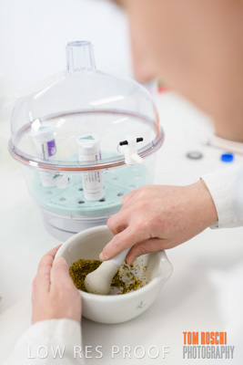 June 2018 / LAB_miscellaneous_180601_007