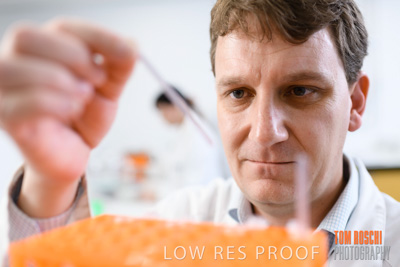 June 2018 / LAB_miscellaneous_180601_022