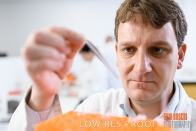 June 2018 / LAB_miscellaneous_180601_025