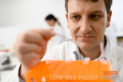 June 2018 / LAB_miscellaneous_180601_033