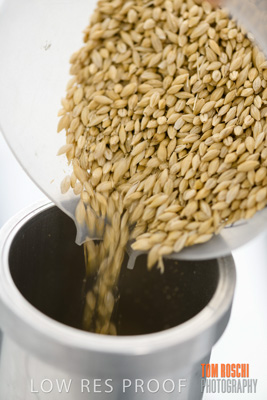 June 2018 / LAB_sample_measuring_female-male_180601_039