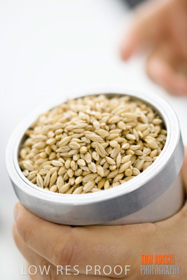 June 2018 / LAB_sample_measuring_female-male_180601_045