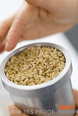 June 2018 / LAB_sample_measuring_female-male_180601_049