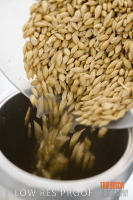 June 2018 / LAB_sample_measuring_female-male_180601_040