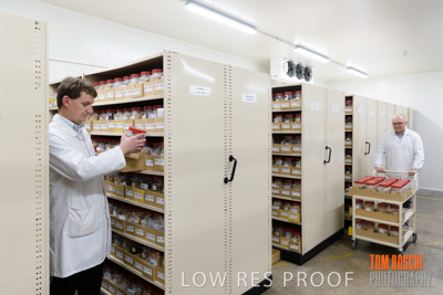 June 2018 / LAB_storage__cold_store_male-female_180601_015