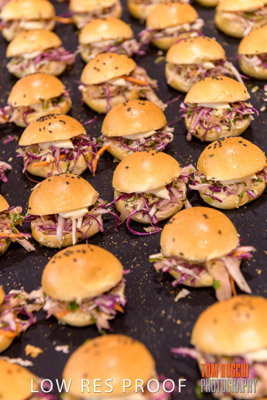 VIterra_Lab_opening_180719_249