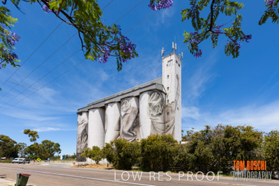 December 2018 / COONALPYN_181210_003