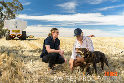 December 2018 / NHIL_181210_007