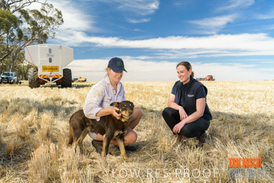 December 2018 / NHIL_181210_013