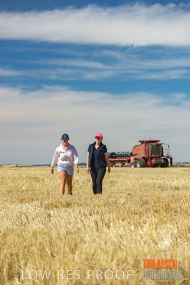 December 2018 / NHIL_181210_020