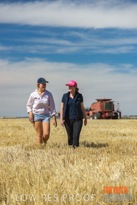 December 2018 / NHIL_181210_022