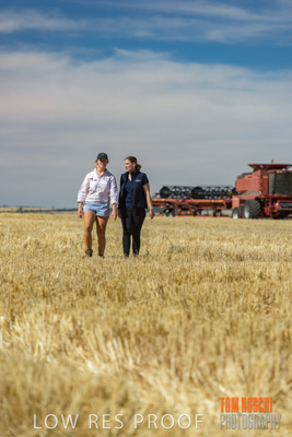 December 2018 / NHIL_181210_025