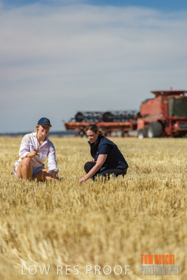 December 2018 / NHIL_181210_028