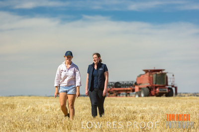 December 2018 / NHIL_181210_030