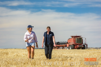 December 2018 / NHIL_181210_031