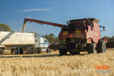 December 2018 / NHIL_181210_064