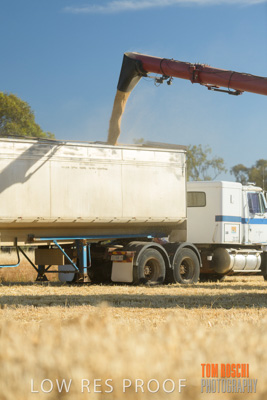 December 2018 / NHIL_181210_065