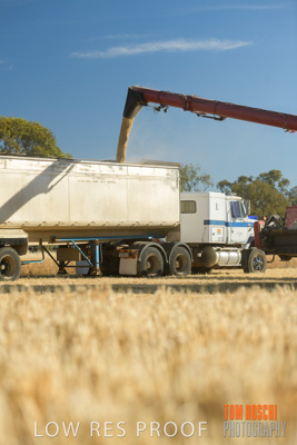 December 2018 / NHIL_181210_067