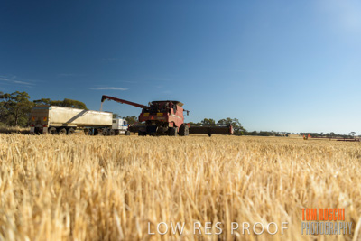 December 2018 / NHIL_181210_068