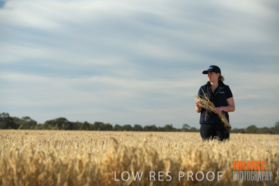 December 2018 / NHIL_181210_077