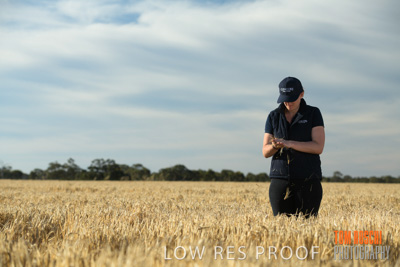 December 2018 / NHIL_181210_078