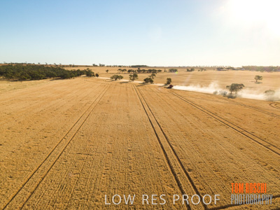 December 2018 / NHIL_181210_104