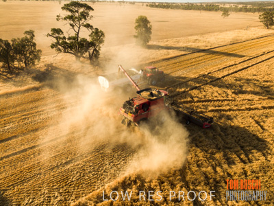 December 2018 / NHIL_181210_112