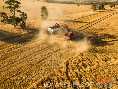 December 2018 / NHIL_181210_113