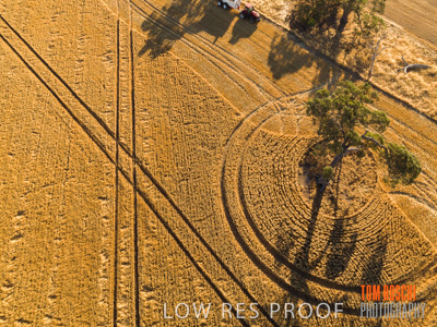 December 2018 / NHIL_181210_115