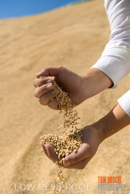 April 2019 / BARLEY_IN_HANDS_190401_723