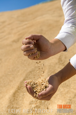 April 2019 / BARLEY_IN_HANDS_190401_727