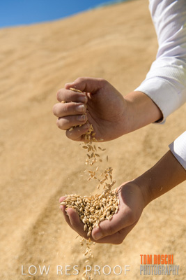 April 2019 / BARLEY_IN_HANDS_190401_728