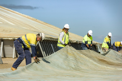 April 2019 / TARP_190401_351