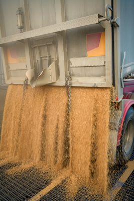 April 2019 / TRUCK_UNLOADING_190401_018