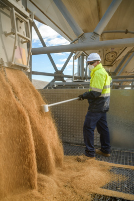 April 2019 / TRUCK_UNLOADING_190401_020