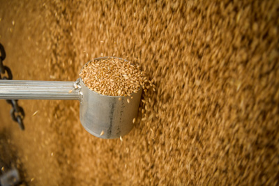 April 2019 / TRUCK_UNLOADING_190401_034