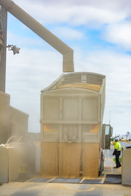 April 2019 / TRUCK_UNLOADING_190401_180