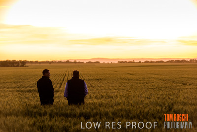 October 2019 / ROSEWORTHY_SA_191018-0002