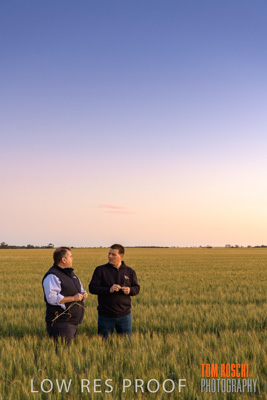 October 2019 / ROSEWORTHY_SA_191018-0011