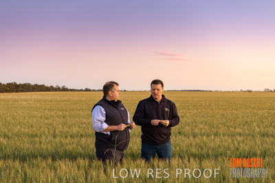 October 2019 / ROSEWORTHY_SA_191018-0016