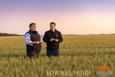 October 2019 / ROSEWORTHY_SA_191018-0017