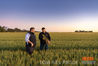 October 2019 / ROSEWORTHY_SA_191018-0029